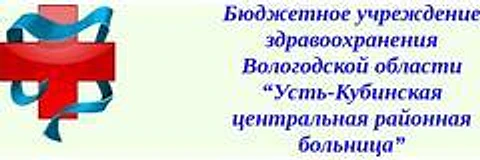 Усть-Кубинская ЦРБ — Больница, Сокол