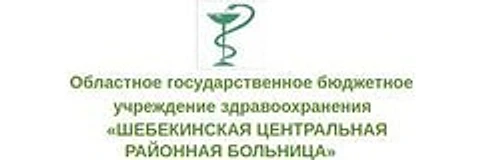 Детская поликлиника — Поликлиника, Шебекино