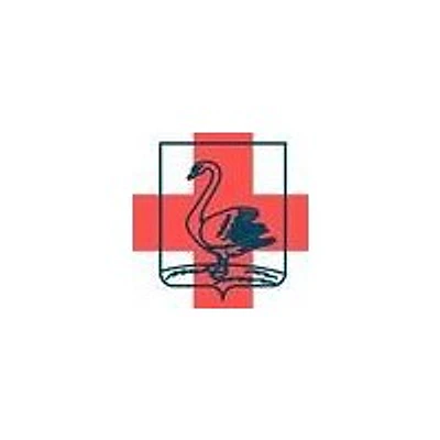 Троекуровская больница — Городская клиническая больница, Лебедянь