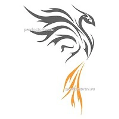 Медицинский центр «Феникс-Орто»